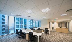 PLUS (D1), Office #533729751